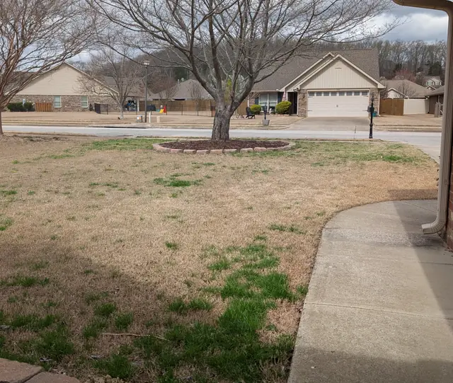 Residential lawn maintained by Superior Services in Northern Alabama