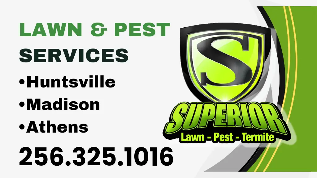 Bee and wasp nest treatment